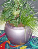 planters
